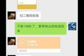 白水遇到恶意拖欠？专业追讨公司帮您解决烦恼